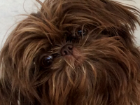 35BCCFEA-5624-4F08-9D2E-90DBC43178F9