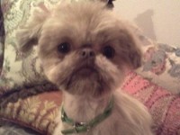 A6FDD437-736A-4611-8AA3-DD906EE595DD