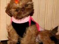 Turn the heat on IMG_0436 copy